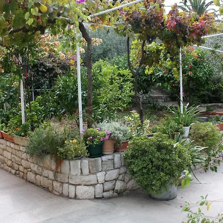 Triple Hvar 141a Guest house 3*