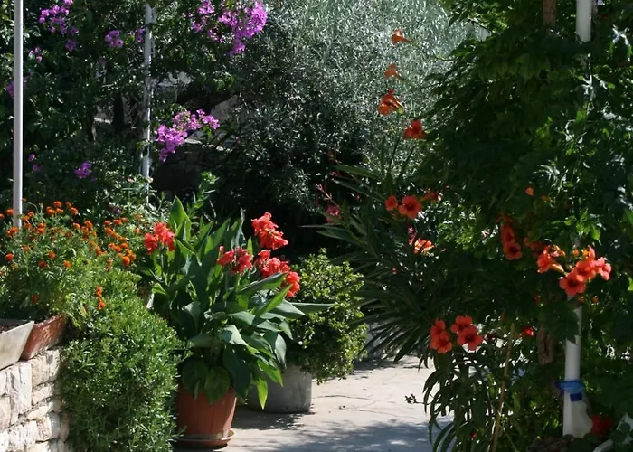 Triple Hvar 141a 3* フヴァル